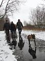 Wandeling De Paalse Plas 24-2-2013 (11)